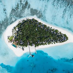 Angsana Velavaru - Enjoy 2 Pax 50 Percent Off Seaplane And 2 Times Free Excursions For 4 Nights And Above, Book Stay Period From18 June To 30 Sep 2025